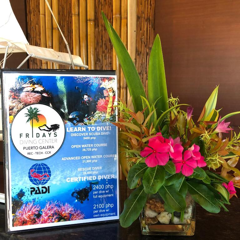 Sports and activities