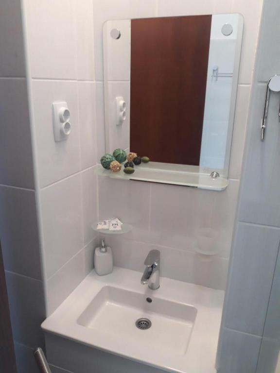 Apartman Karadjordje photo