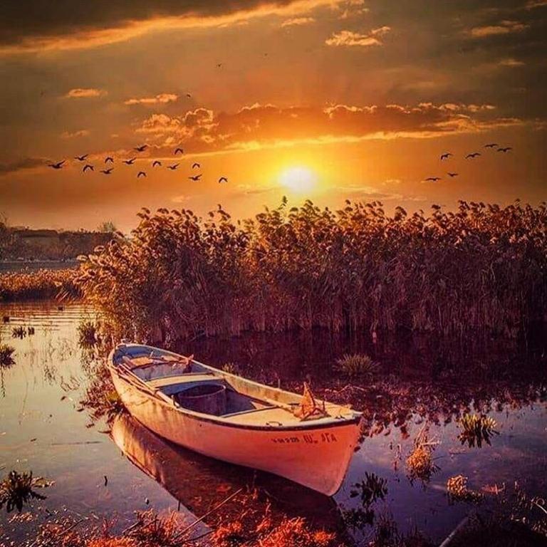 Surrounding environment