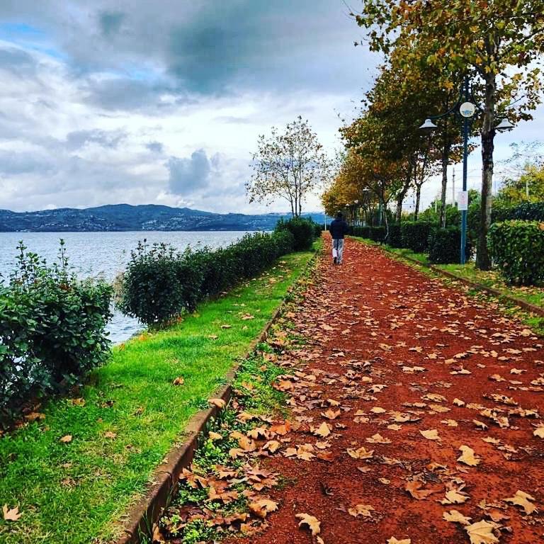 Surrounding environment