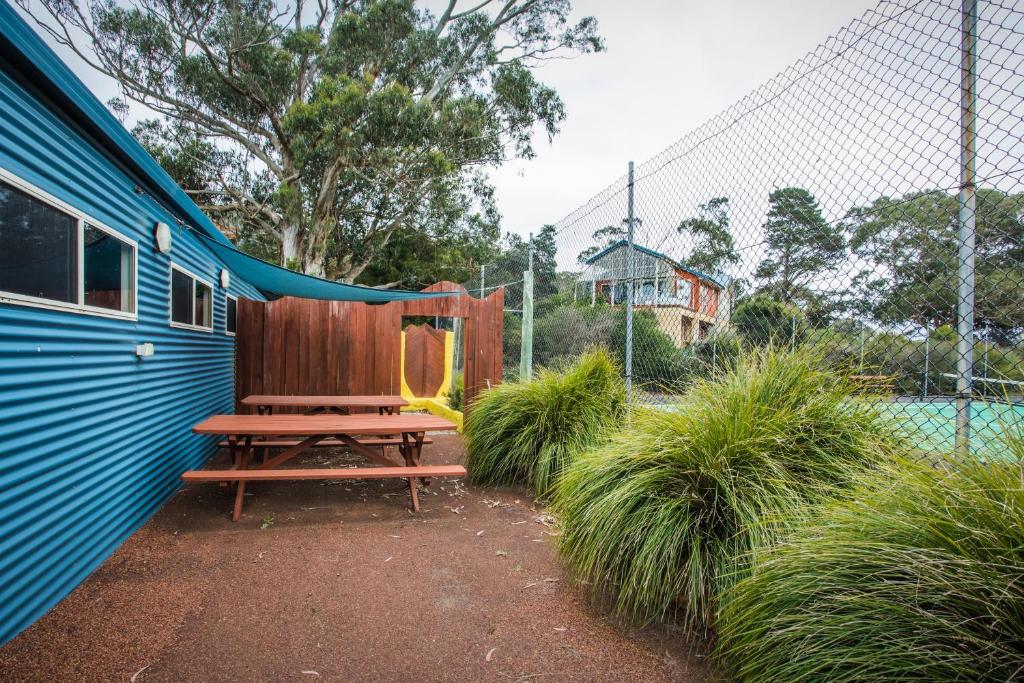 Banksia @ Cosy Corner photo