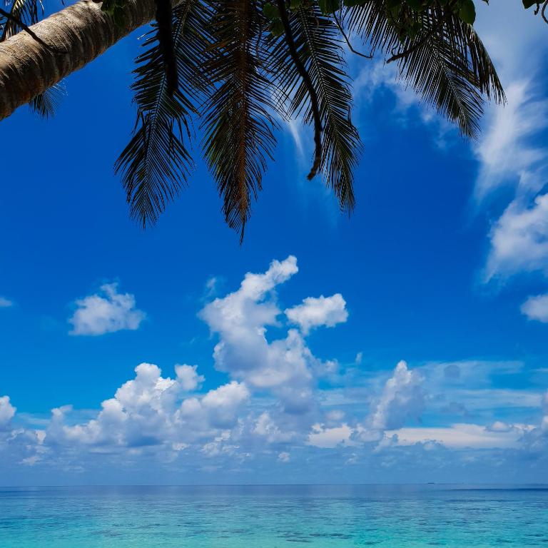 Surrounding environment