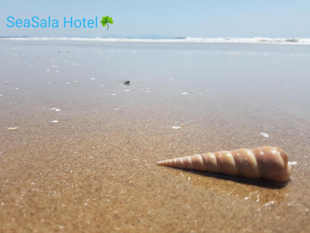 SeaSala Hotel photo