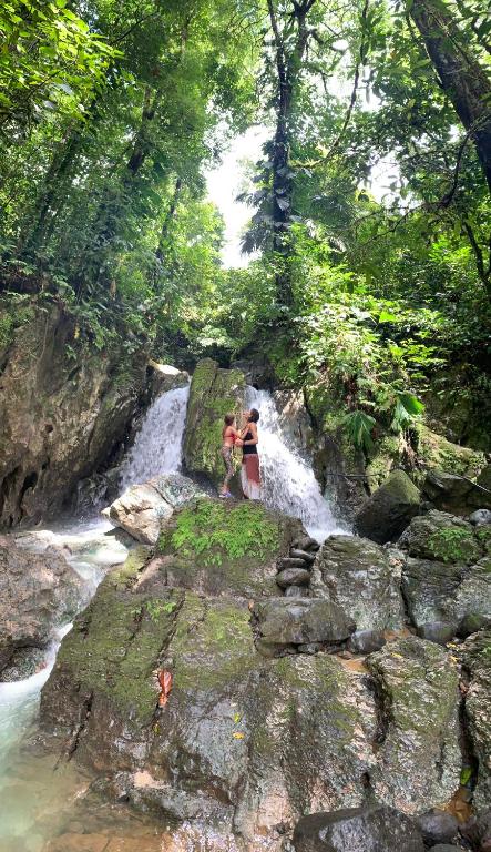 Surrounding environment