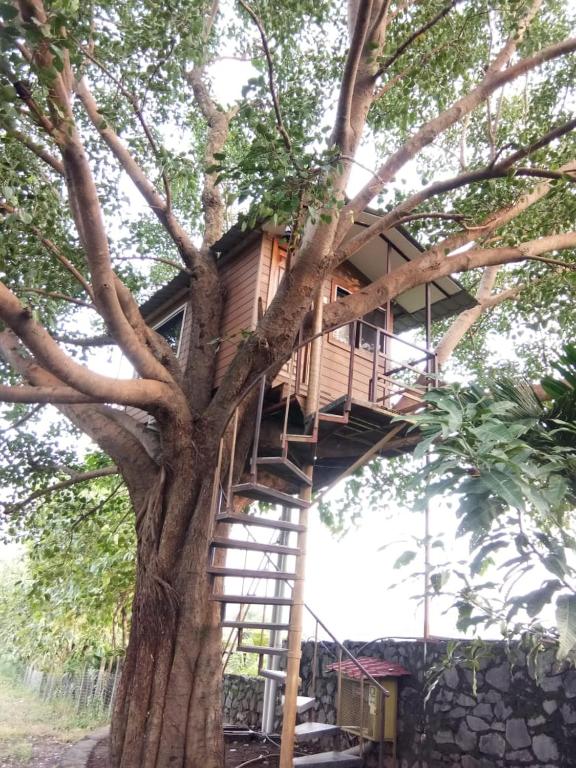 Heaven Hill Resort In Boisar India Reviews Prices Planet Of Hotels