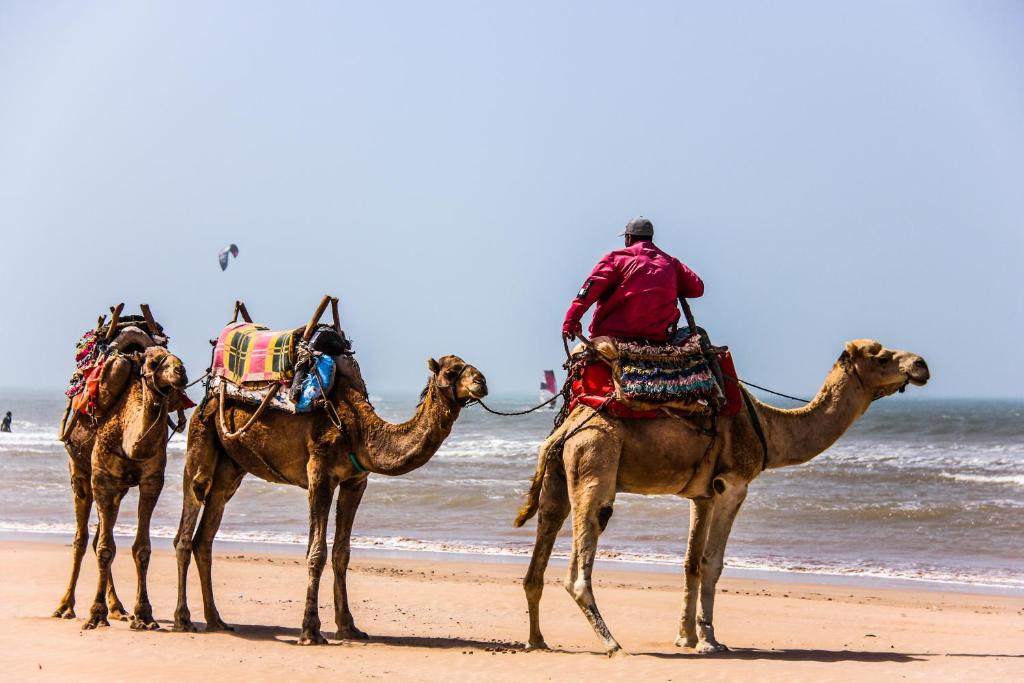 Riad Lunetoile photo