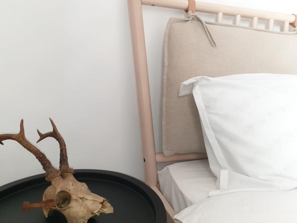 Suite Life Brasov Coresi photo