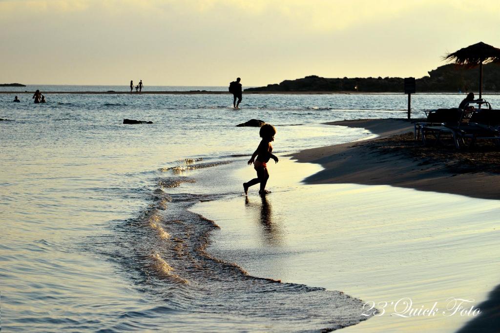 Xasteria photo