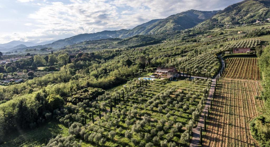 Casale rinnovato immerso nella campagna con splendida piscina privata - 3