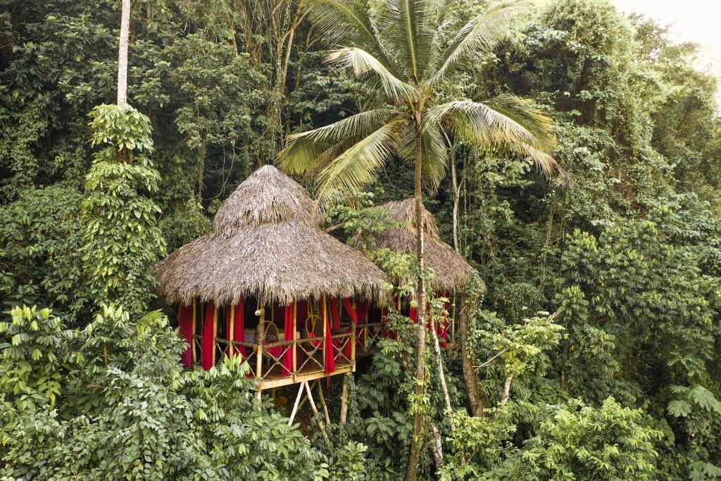 Dominican Tree House Village — Hotel in Castellalito