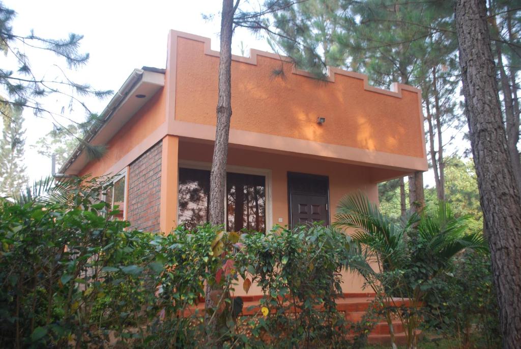 Saltek Forest Cottages photo