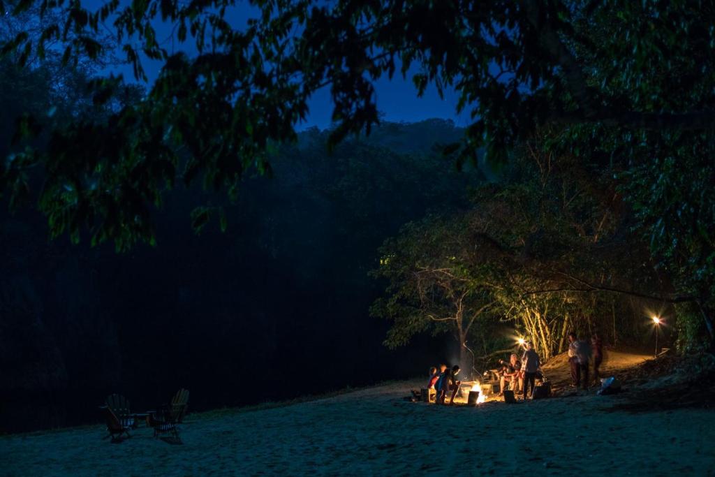 Sweet Songs Jungle Lodge photo