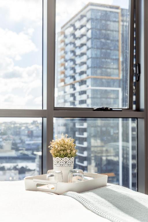 Lucid Apartment South Brisbane photo