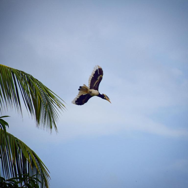 Pebble Bay Home Stay photo