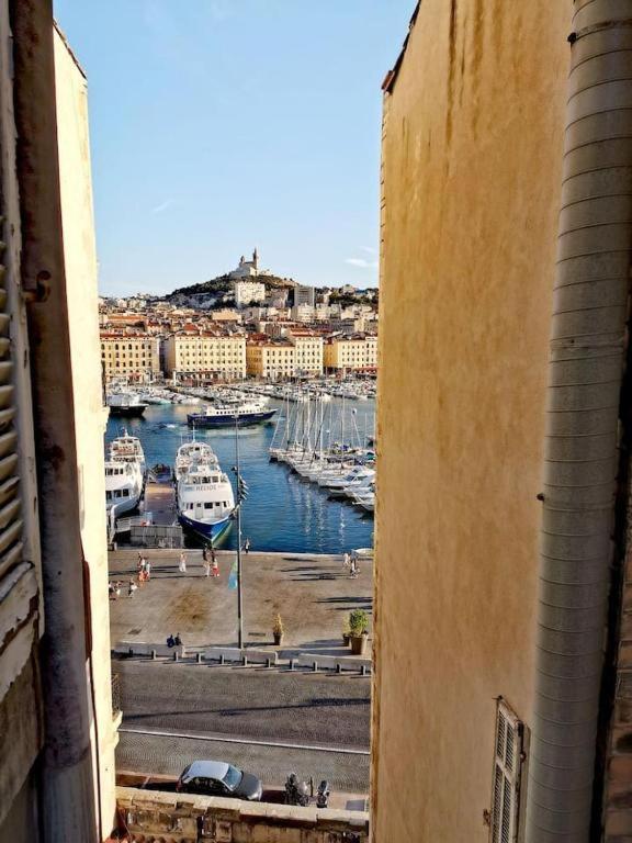 Au cœur du Vieux Port - Le quai bourgeois - 5