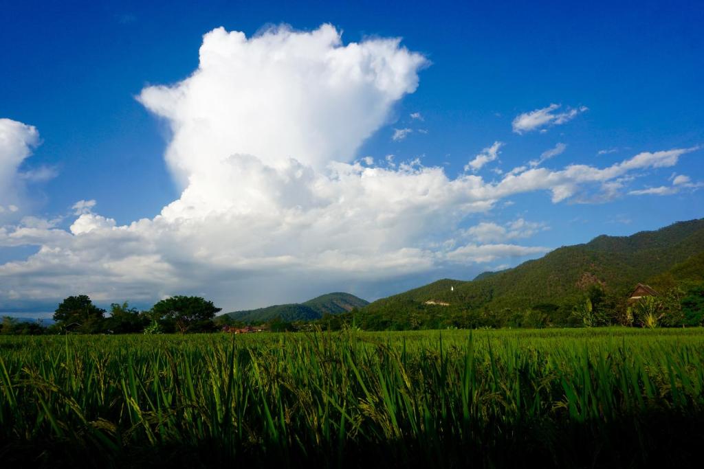 Surrounding environment