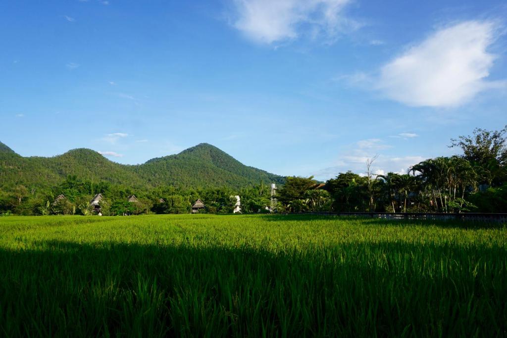 Surrounding environment
