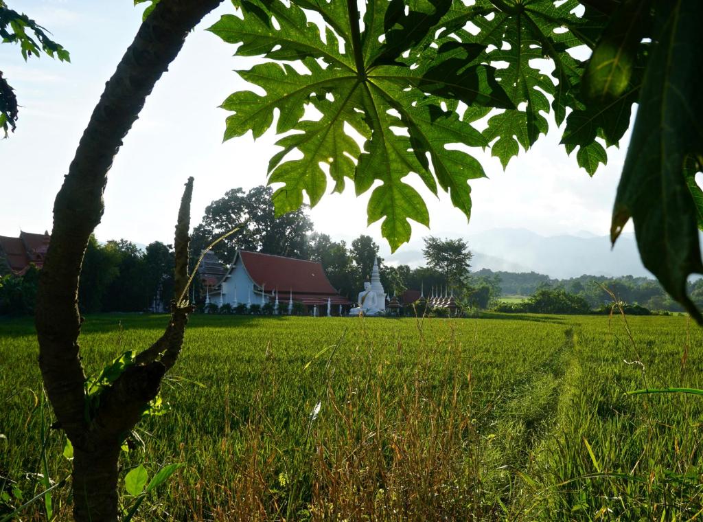 Surrounding environment