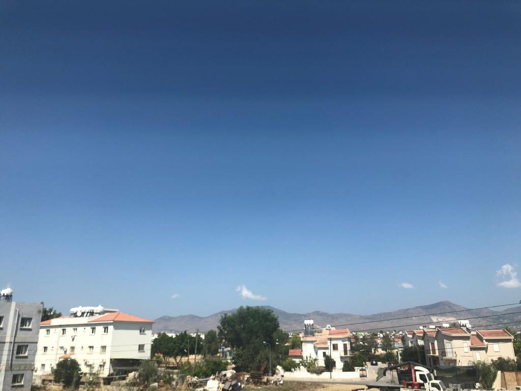 Ảnh 5