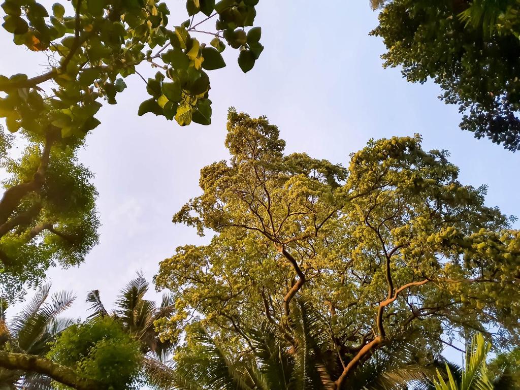 Surrounding environment
