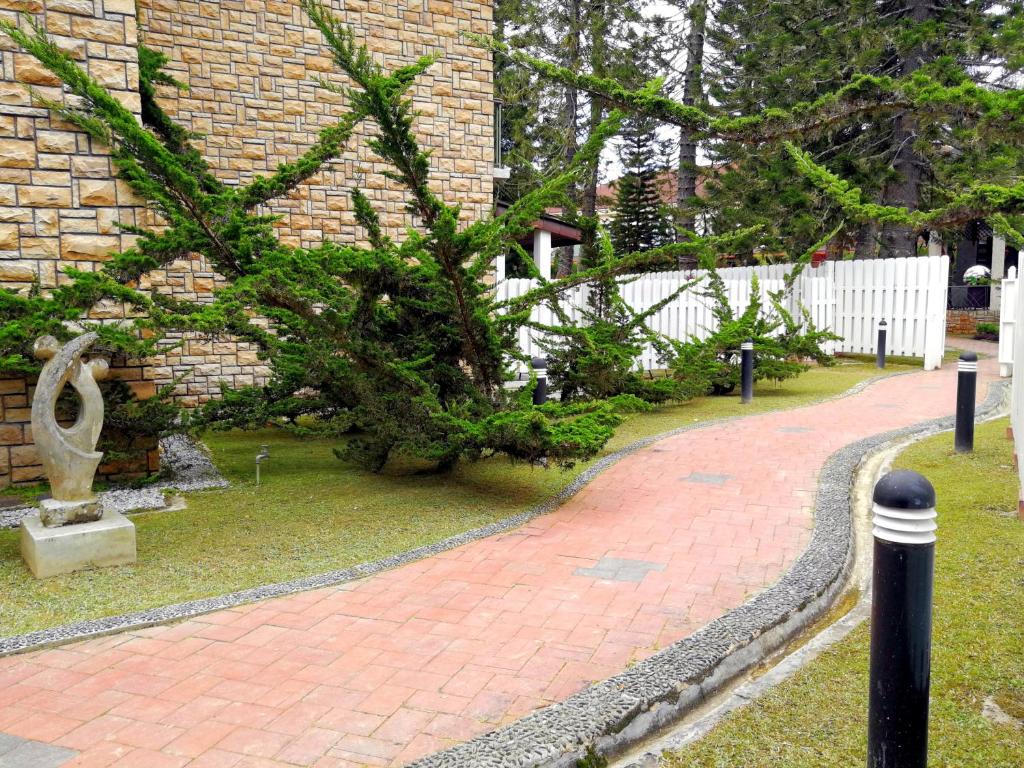 trädgård