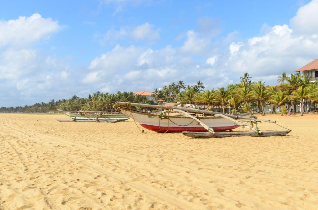 Araliya Blue Beach View Hotel photo