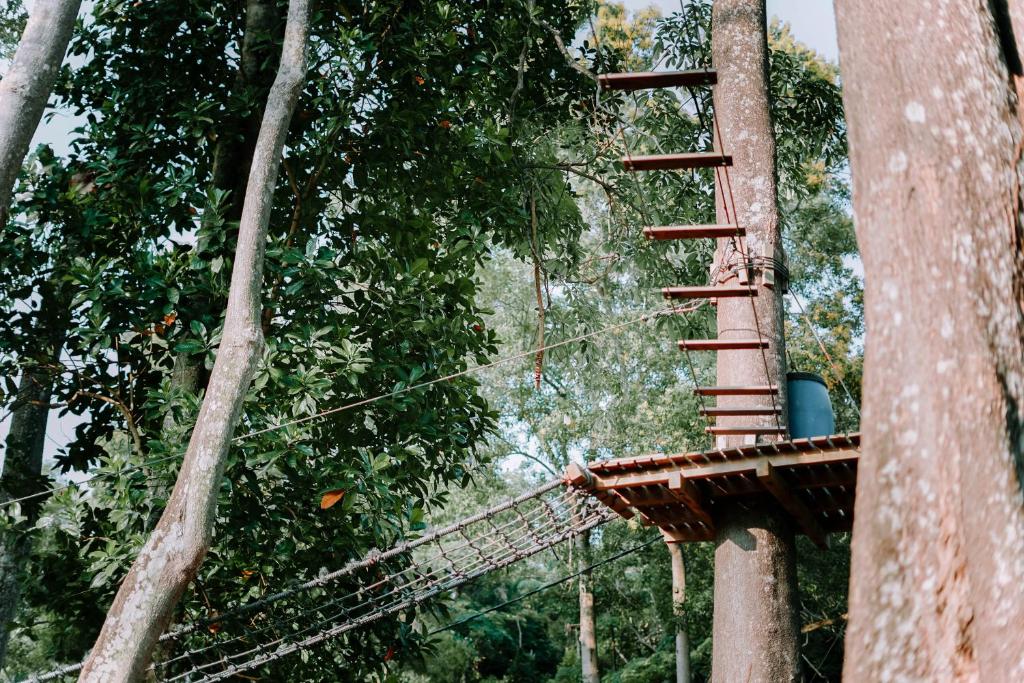 Attractions