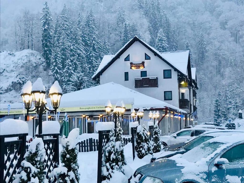 Hotel Popasul Regelui Transalpina photo