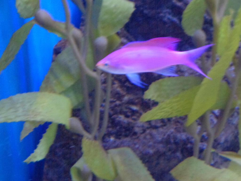 Sports and activities