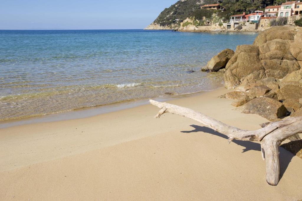 Un Nido sul Mare - Goelba - 3