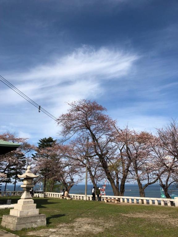 Guest House Asahi photo