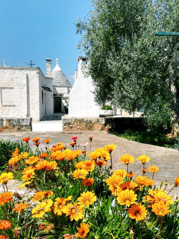 Maison MilleOttocento - 5