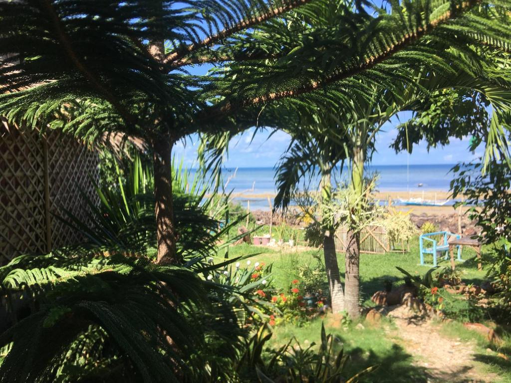 Gigante Island Homestay - Balay sa Gigante photo