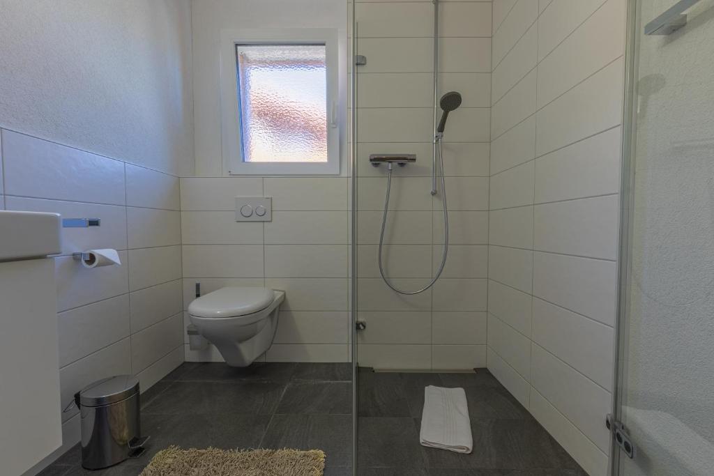Chalet Gousweid- Schilthorn Apartment photo