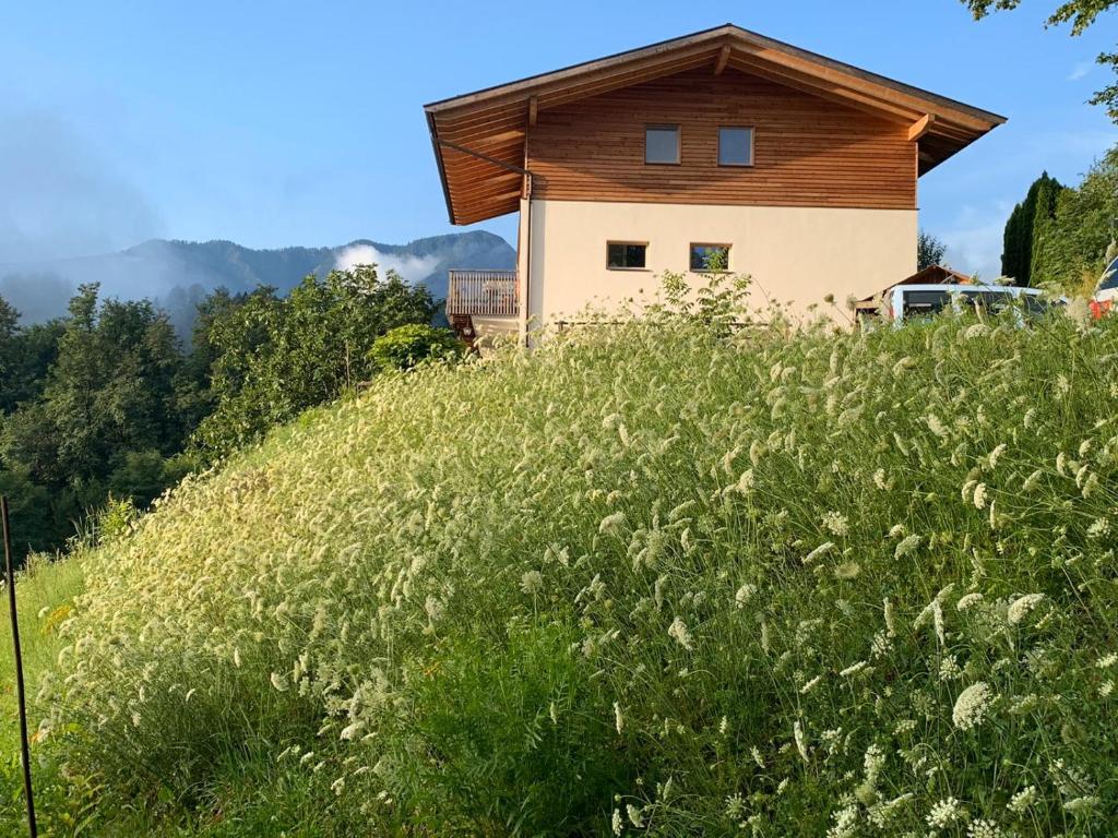 Villa Alberta photo