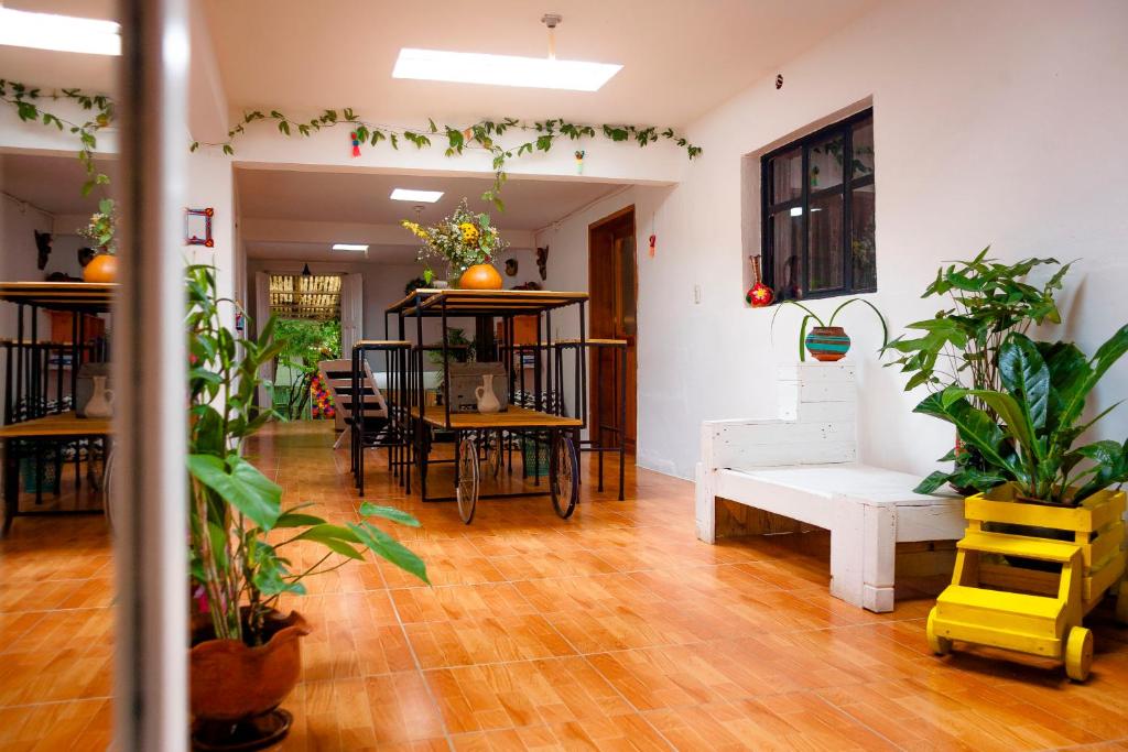 Facilities, Corazon Corteza in San Cristobal De Las Casas