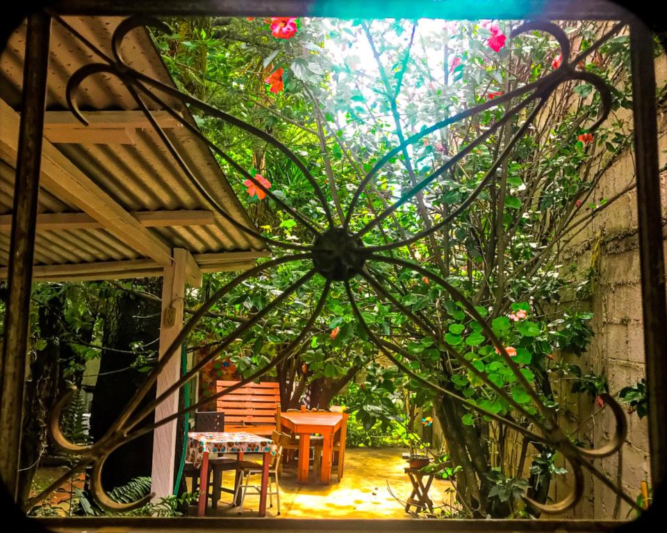 Facilities, Corazon Corteza in San Cristobal De Las Casas