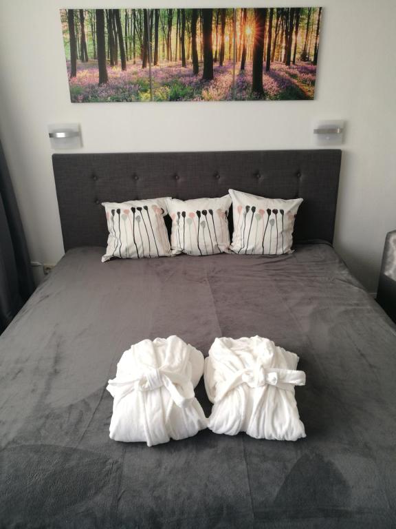 Top Appartment mit Weitblick und Late Check-Out inklusive aktivCARD - 2