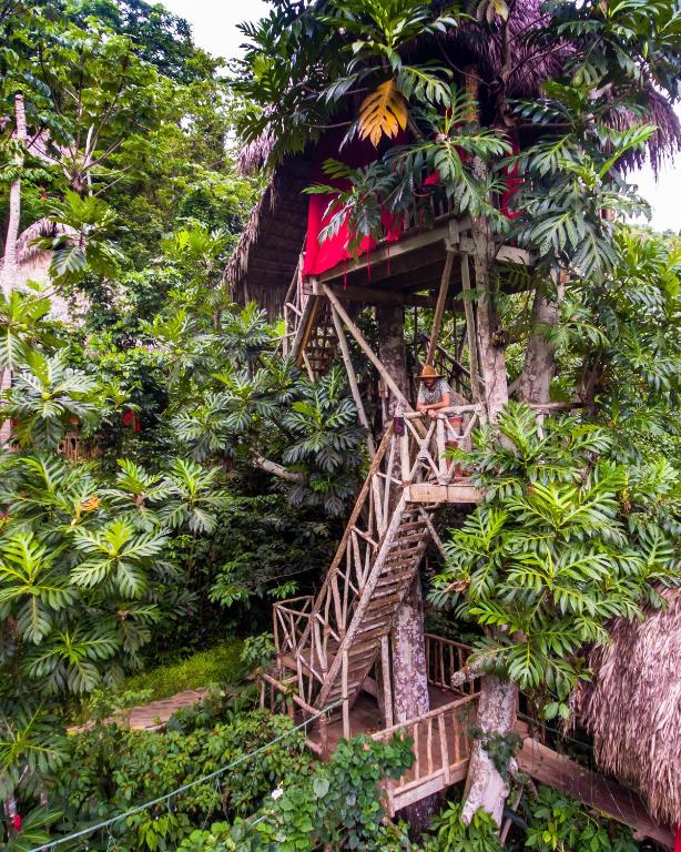 Dominican Tree House Village photo