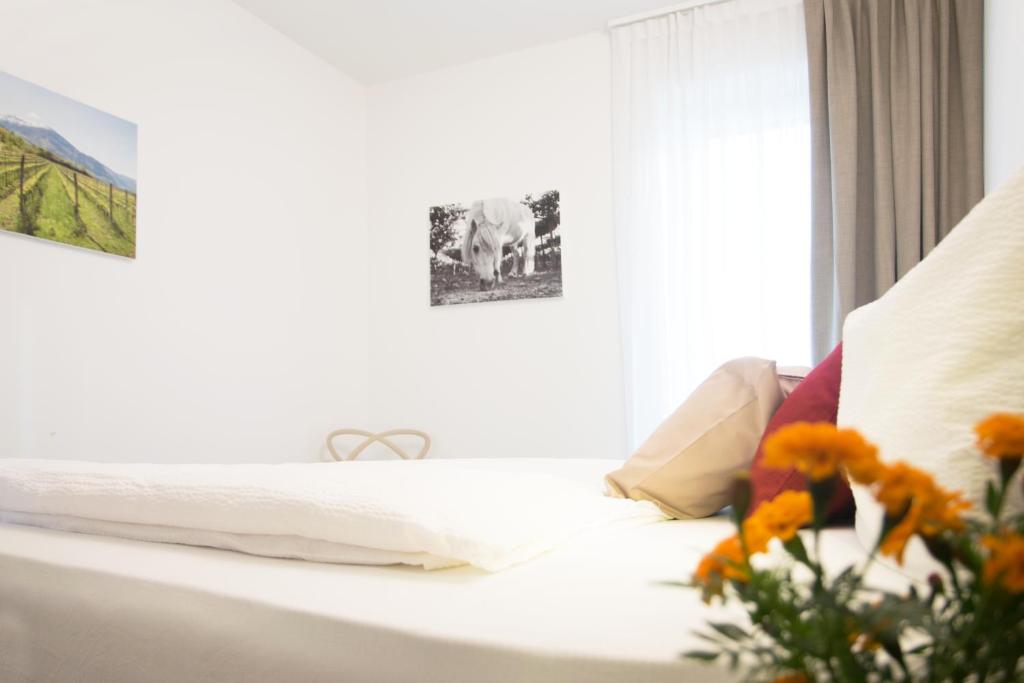 8 Grappoli Agritur photo