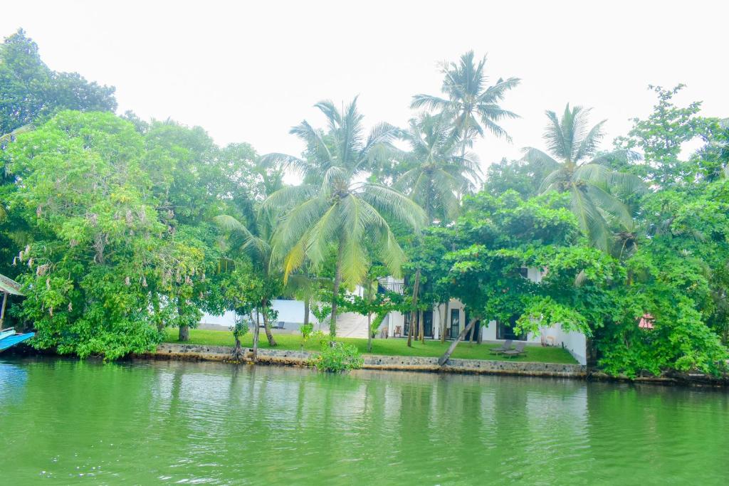 The Green Lagoon Villa — Hotel in Hikkaduwa