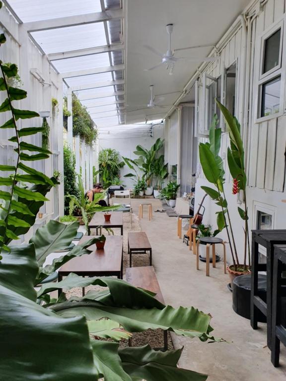 더 파크 소사이어티