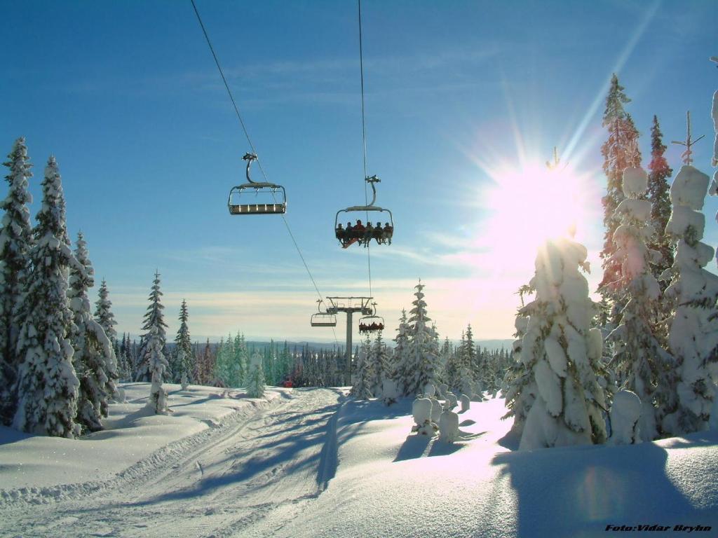 Sjusjøen Hytteutleie photo