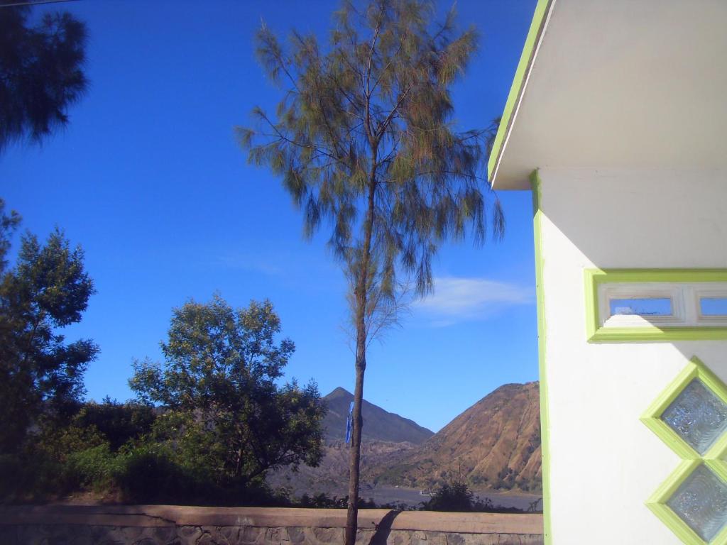 Cahyo Homestay Bromo photo