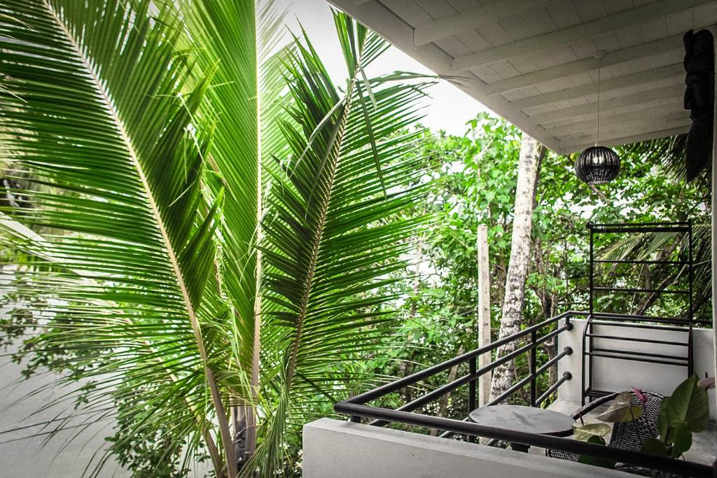 Haven Hiriketiya 館内設備