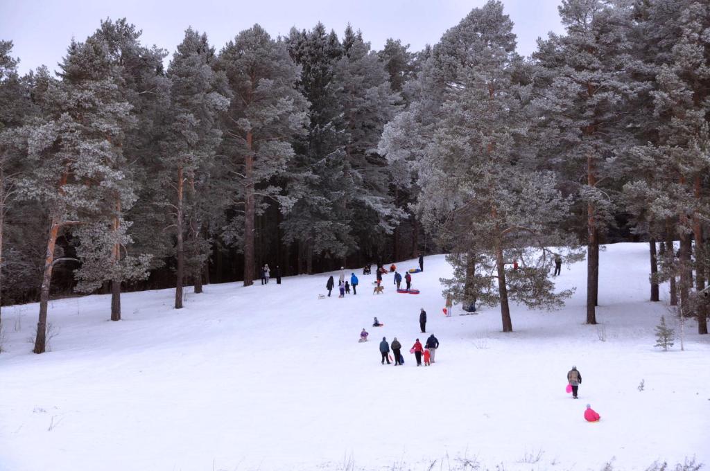 Zvenigorodsky Resort photo