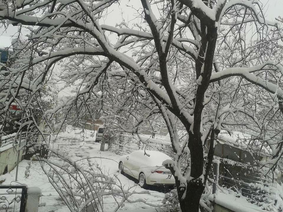 Surrounding environment