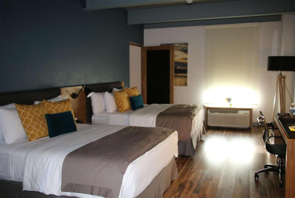 TRYP by Wyndham San Luis Potosi Hotel & Suites photo
