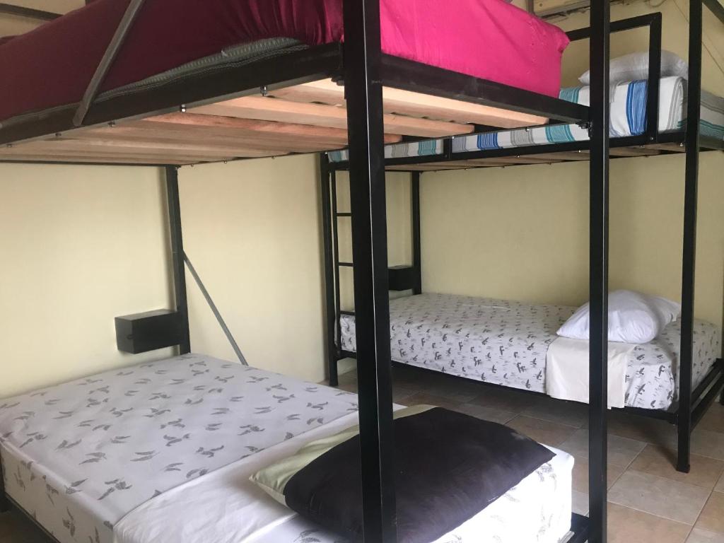 La Terraza Hostel photo