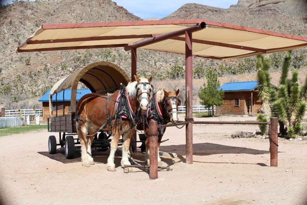 Grand Canyon Western Ranch — Hotel in Meadview (AZ)